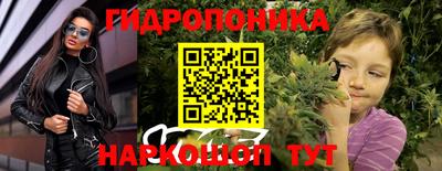шишки Можайск