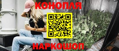 шишки Можайск